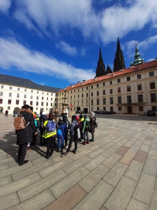 Obrázek v galerii