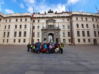 Obrázek v galerii