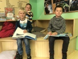 Obrázek v galerii