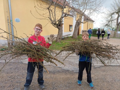 Obrázek v galerii