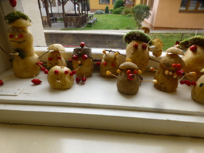Obrázek v galerii