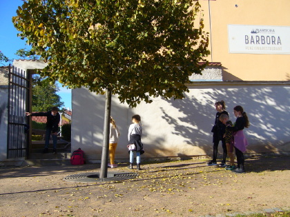 Obrázek v galerii