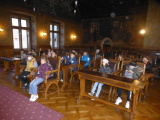 Obrázek v galerii