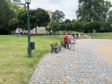 Obrázek v galerii