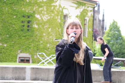 Obrázek v galerii