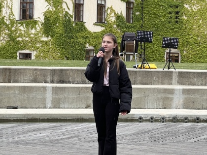 Obrázek v galerii