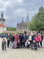 Obrázek v galerii