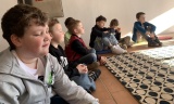 Obrázek v galerii