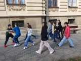 Obrázek v galerii