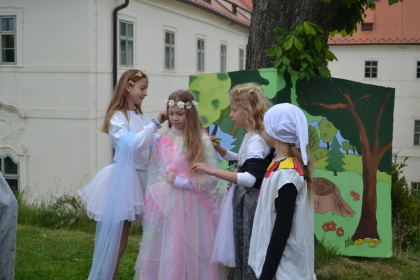 Obrázek v galerii