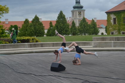 Obrázek v galerii