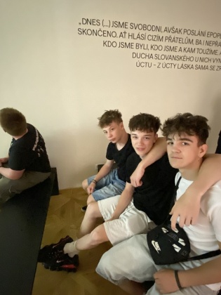 Obrázek v galerii