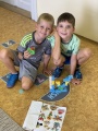Obrázek v galerii