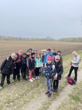 Obrázek v galerii