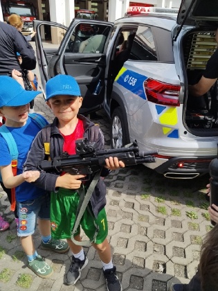 Obrázek v galerii
