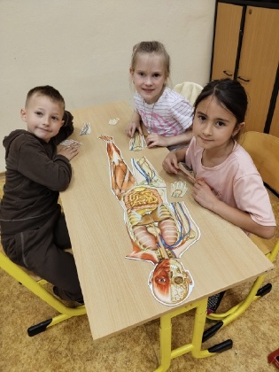 Obrázek v galerii