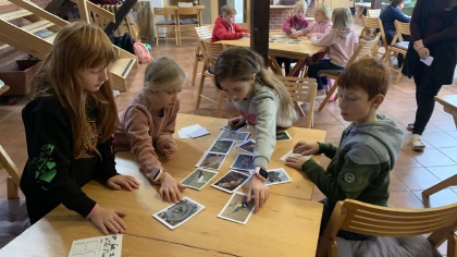 Obrázek v galerii