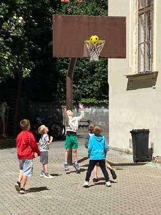 Obrázek v galerii