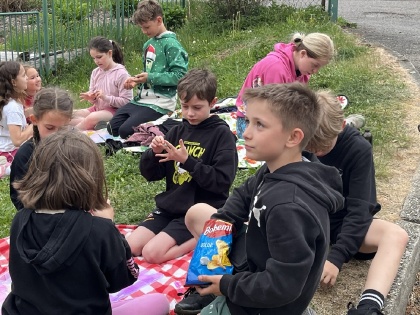 Obrázek v galerii