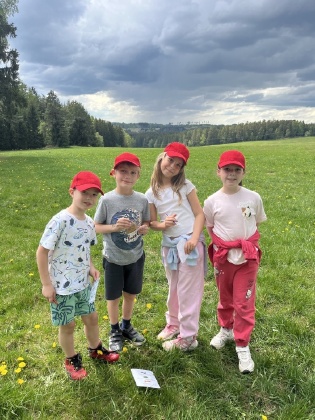 Obrázek v galerii