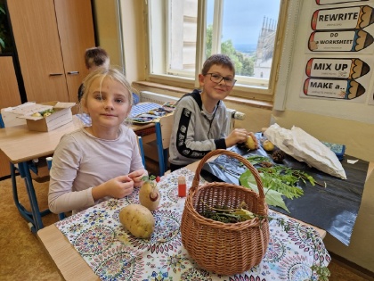 Obrázek v galerii