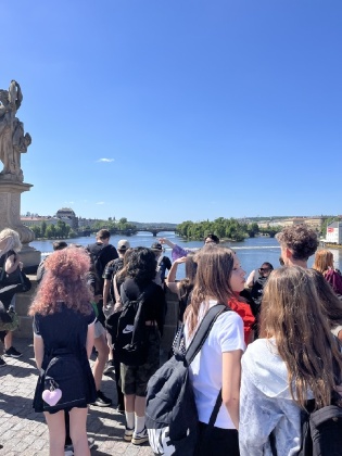 Obrázek v galerii
