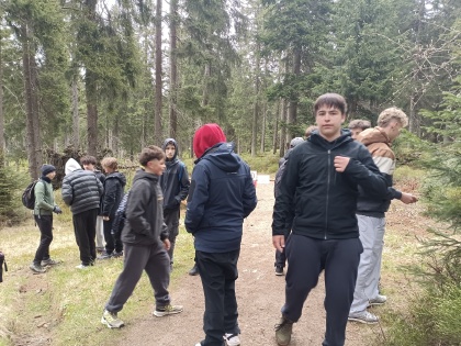 Obrázek v galerii