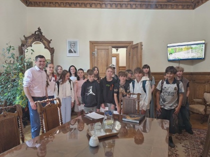 Obrázek v galerii