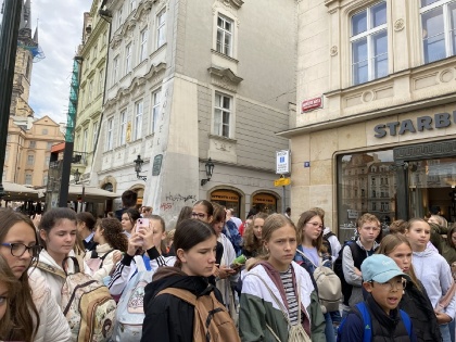 Obrázek v galerii