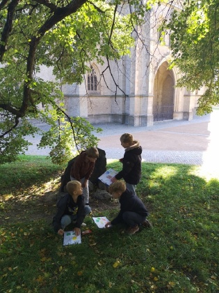 Obrázek v galerii