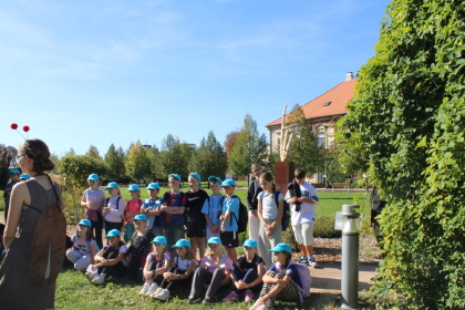 Obrázek v galerii