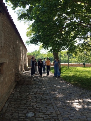 Obrázek v galerii