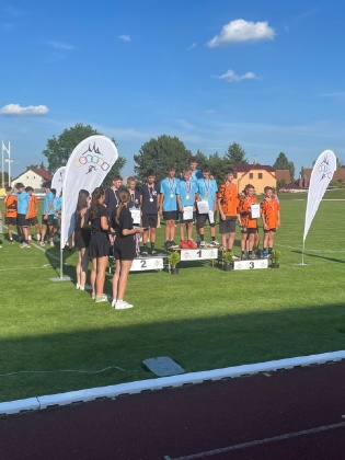 Obrázek v galerii