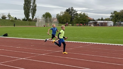 Obrázek v galerii