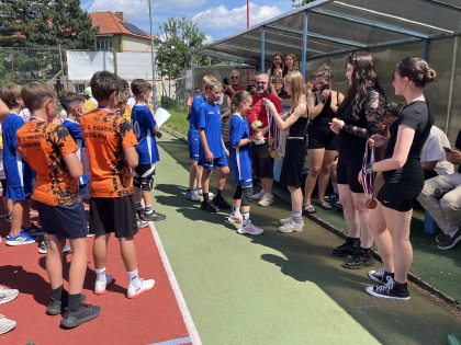 Obrázek v galerii