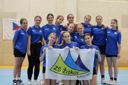 Obrázek v galerii