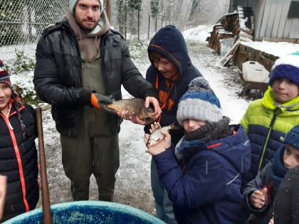 Obrázek v galerii