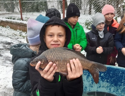 Obrázek v galerii