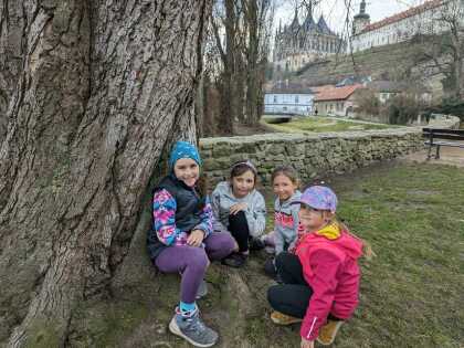 Obrázek v galerii