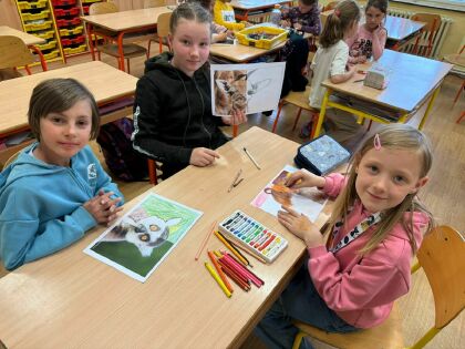 Obrázek v galerii