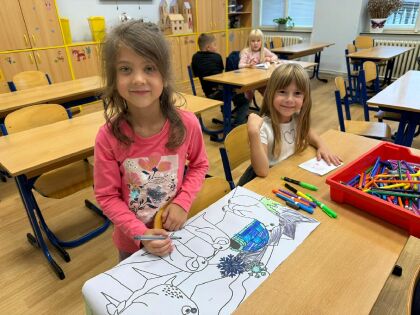 Obrázek v galerii