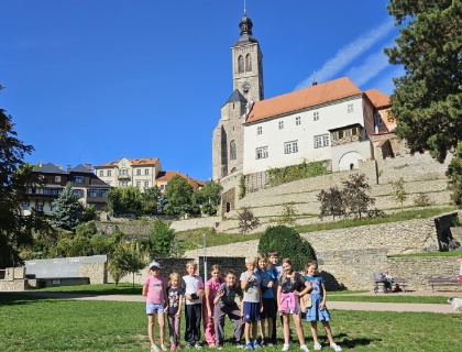 Obrázek v galerii