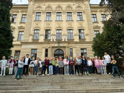 Obrázek v galerii