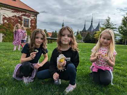 Obrázek v galerii