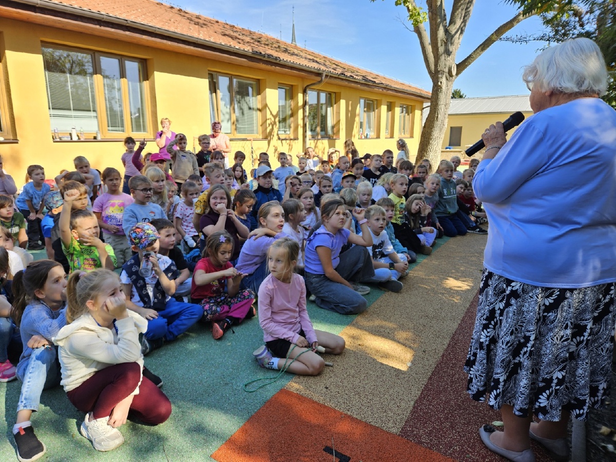 Beseda o houbách