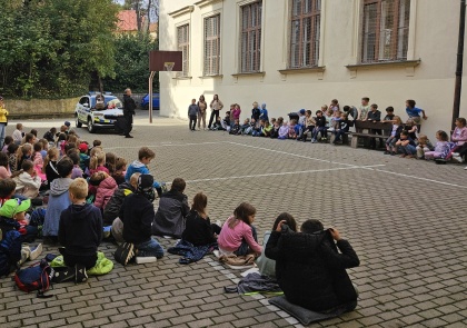 Obrázek v galerii