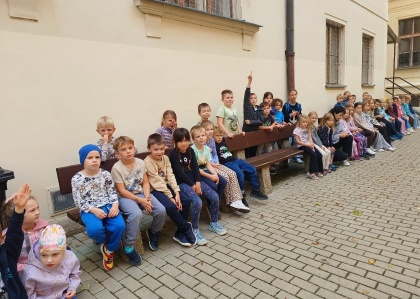 Obrázek v galerii