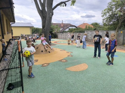 Obrázek v galerii